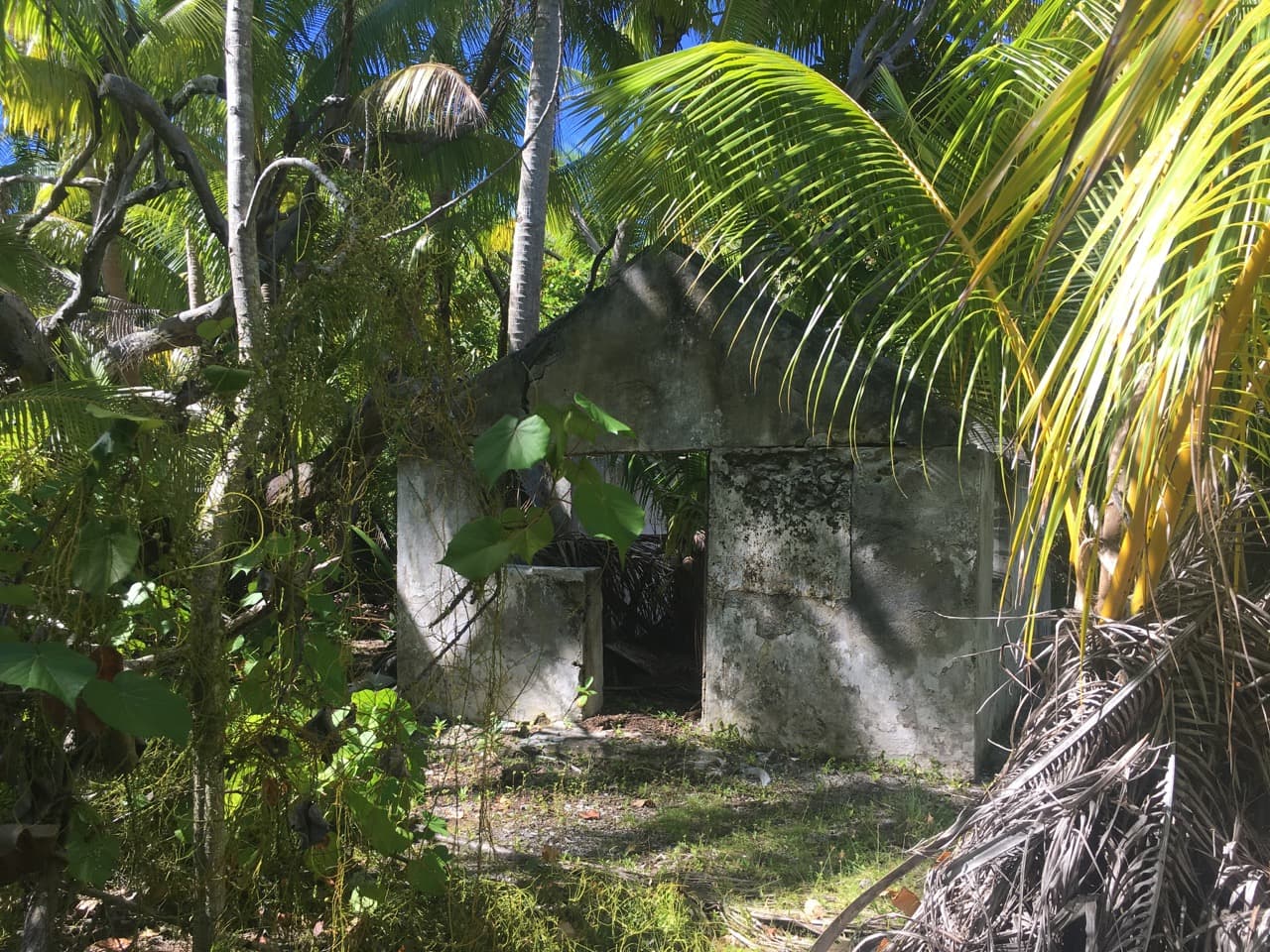 Palms and old village site on Tetiaroa