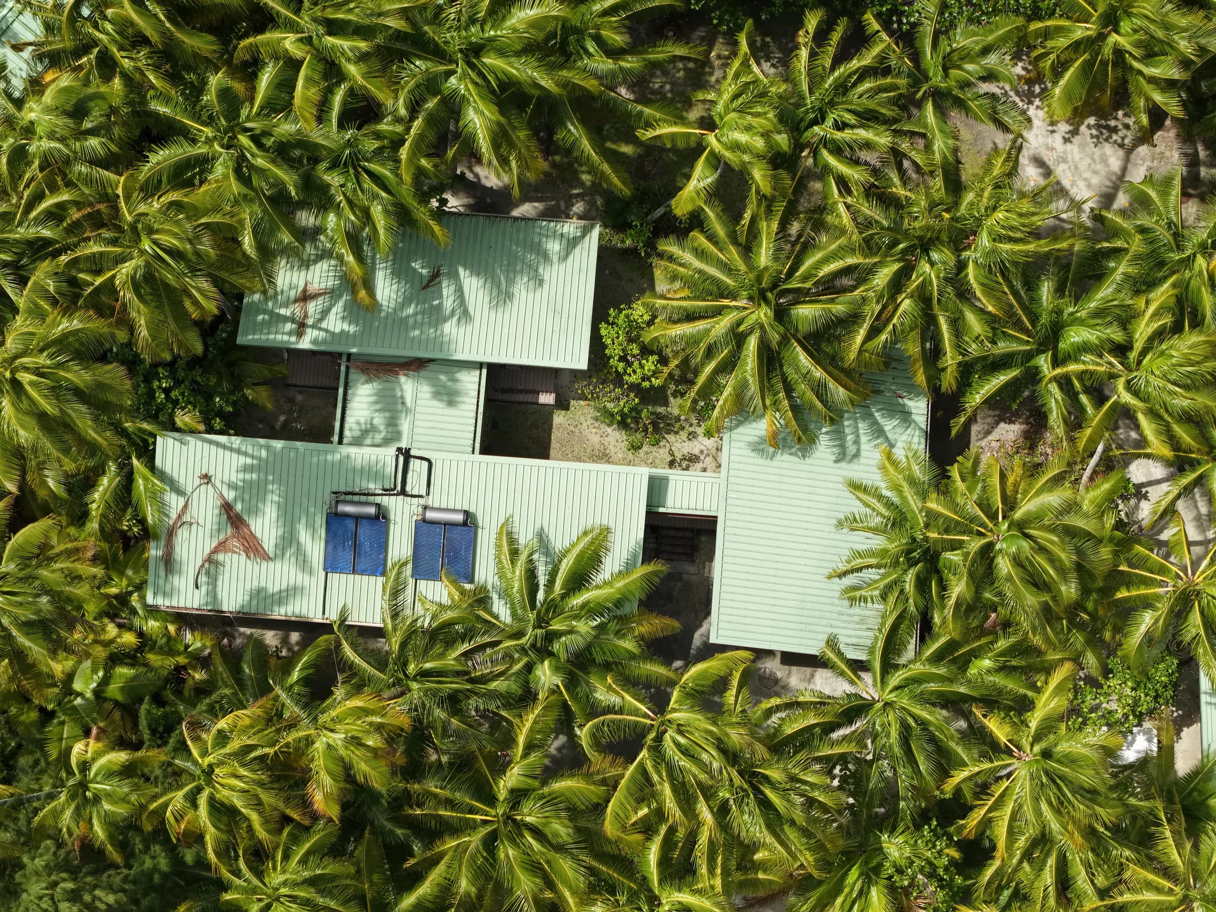 The field station buildings surrounded by dense green vegetation