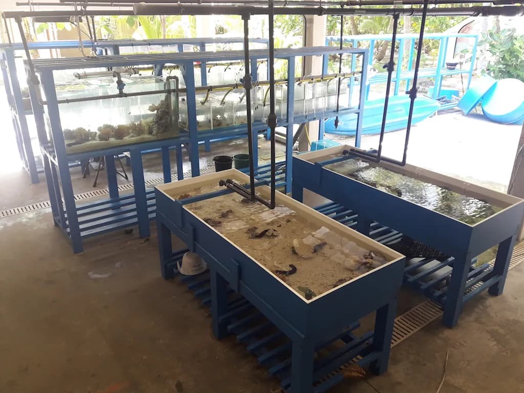 Aquarium tanks in the station’s wet lab