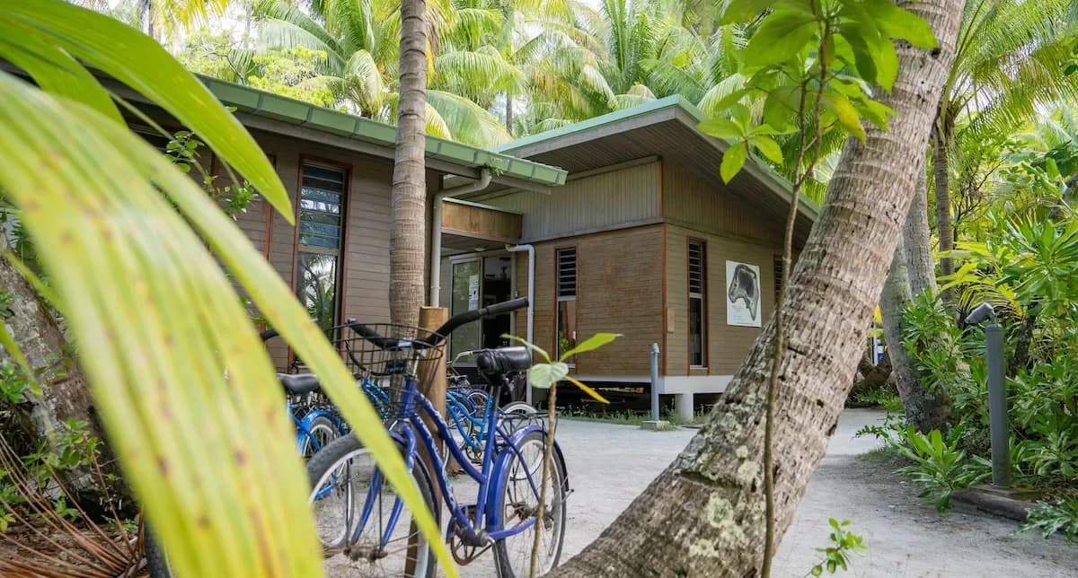 A bicycle used to get around Onetahi