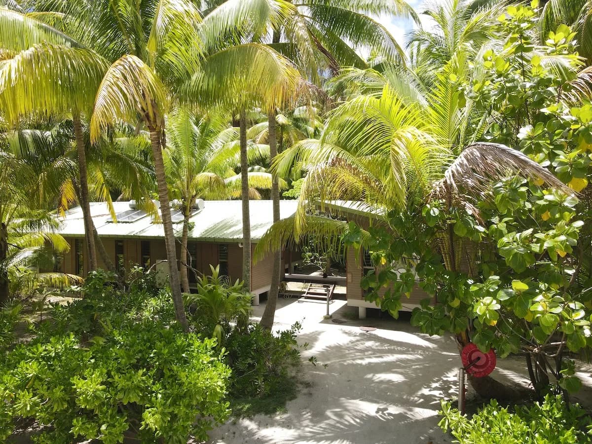 The field station buildings standing among the island's coastal forest