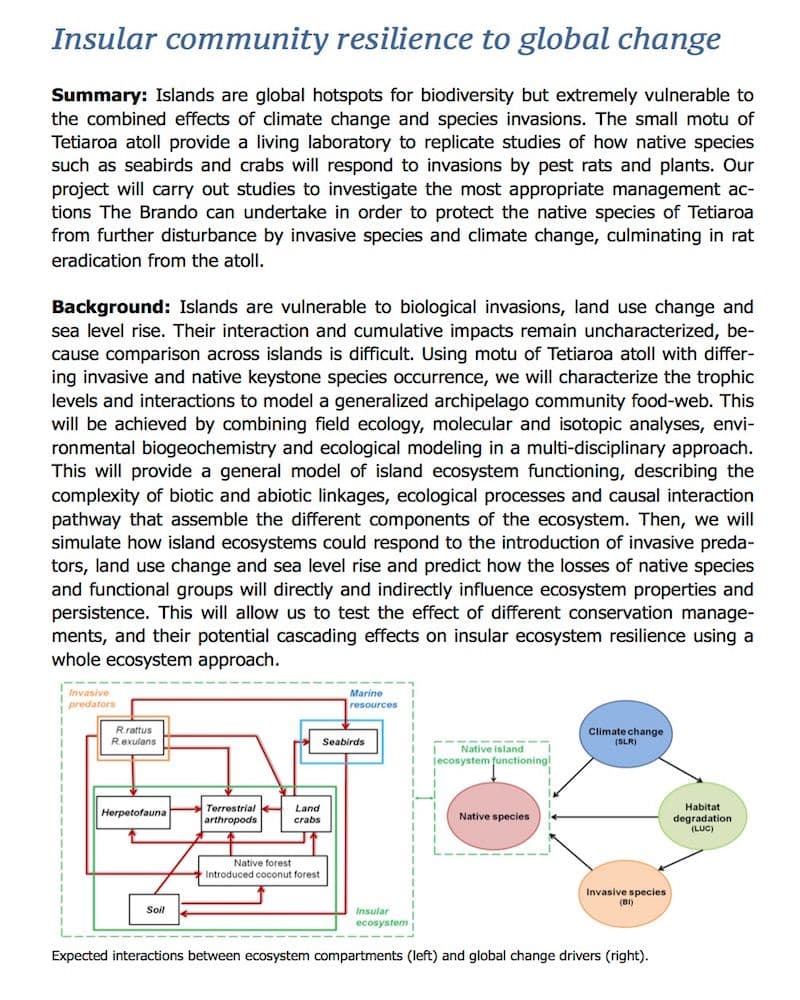 read the pdf: Island restoration - rat eradication program