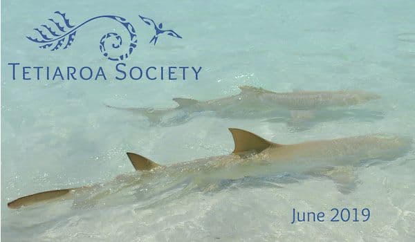 June newsletter