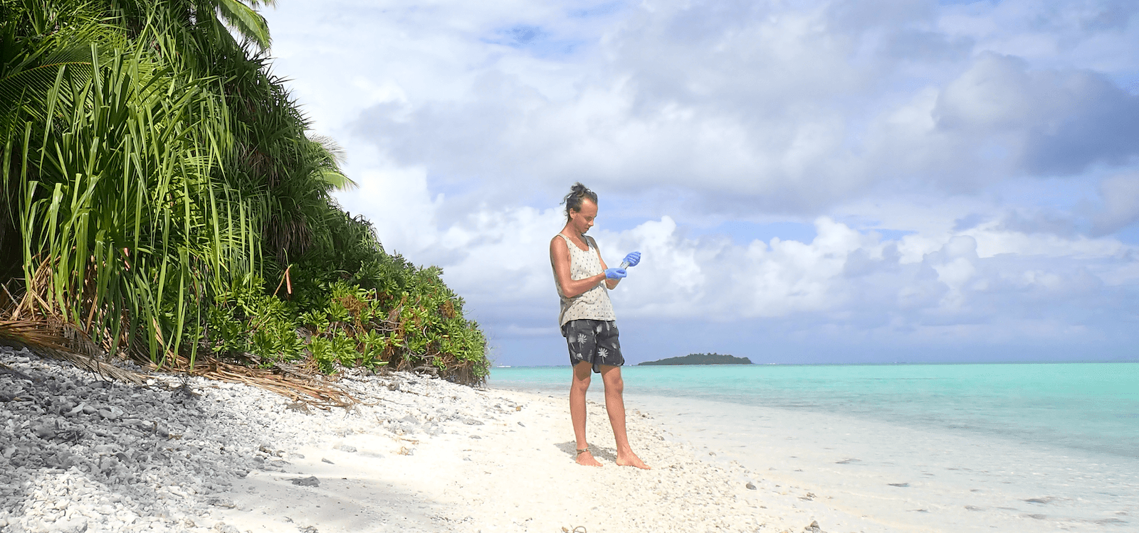 Biodiversity sampling