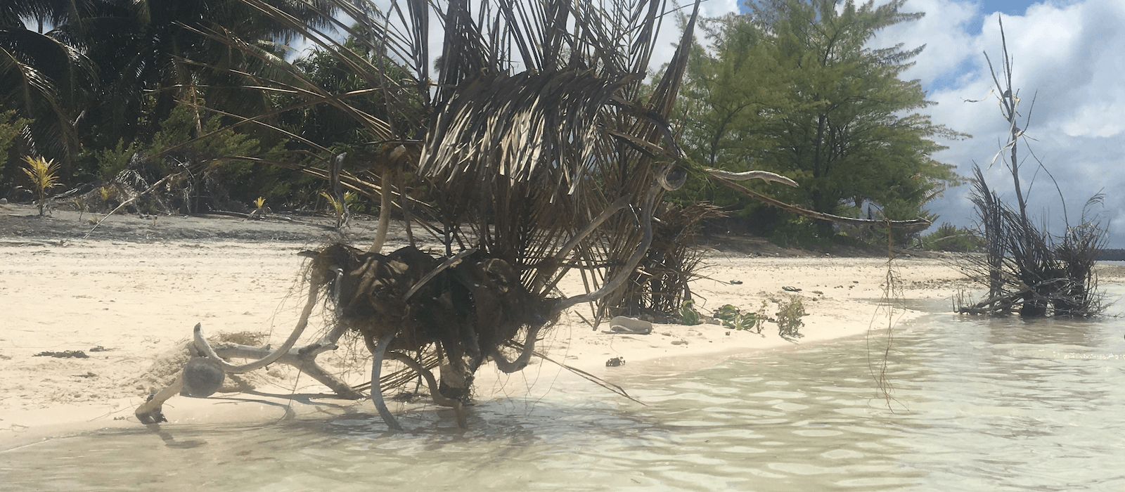 erosion and beach construction