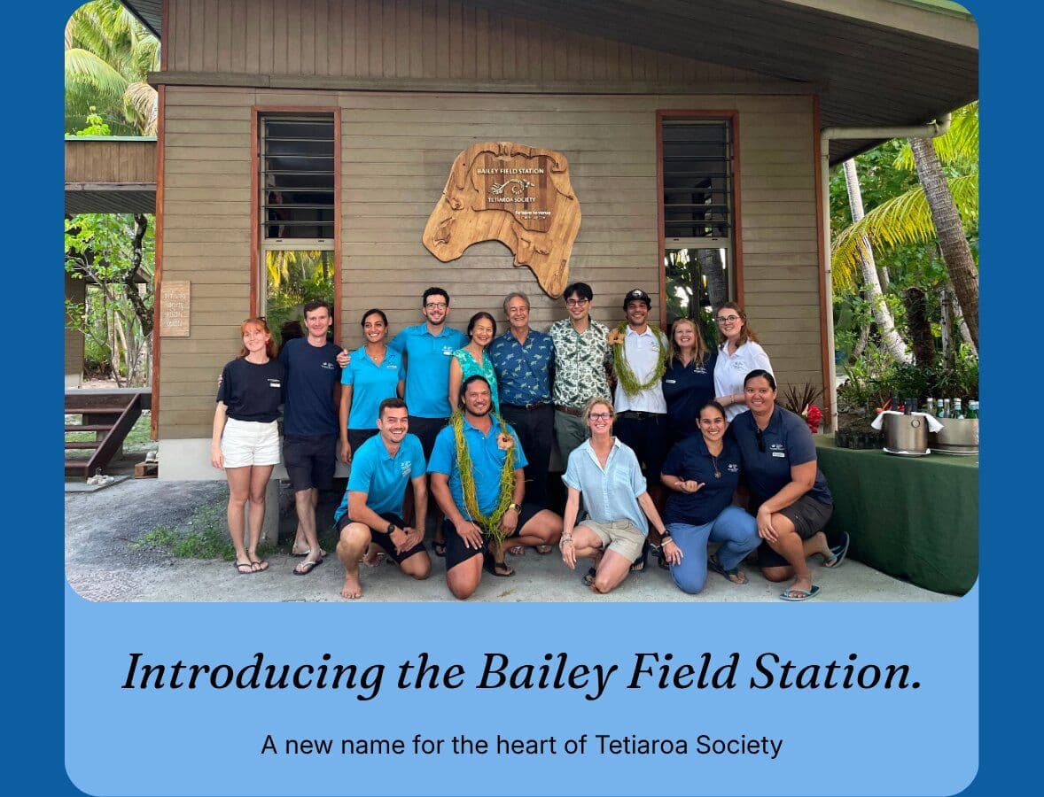 Introducing the Bailey Field Station