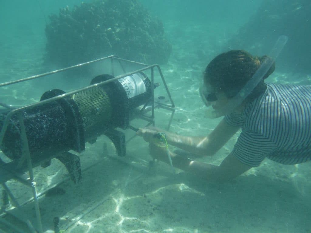 Undersea instruments that autonomously measure pH, oxygen, and other chemical indicators of reef health.