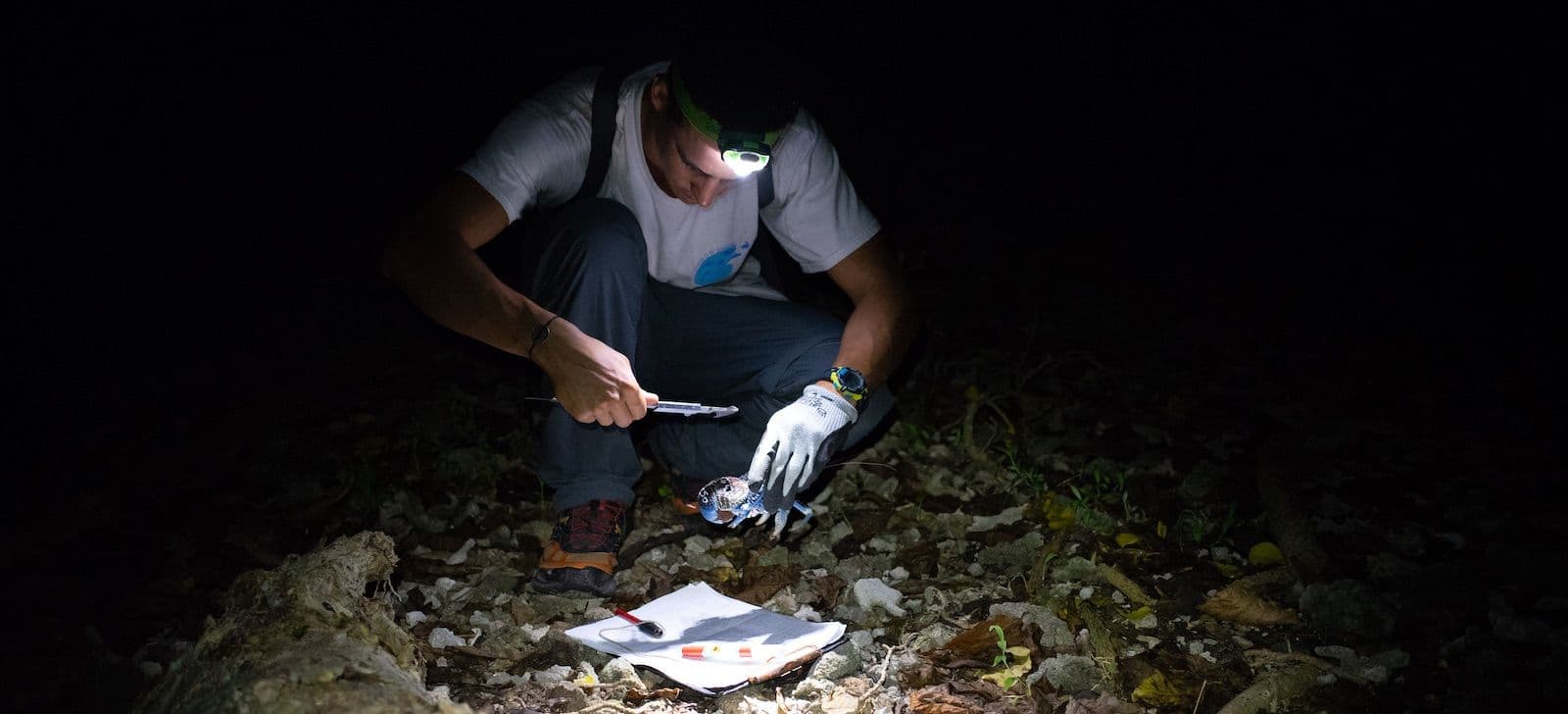 researcher taking coconut crab stats