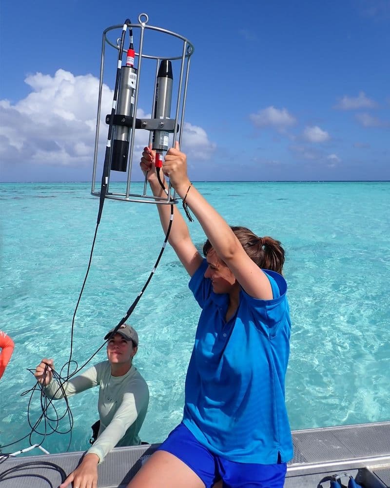 setting up the sensor