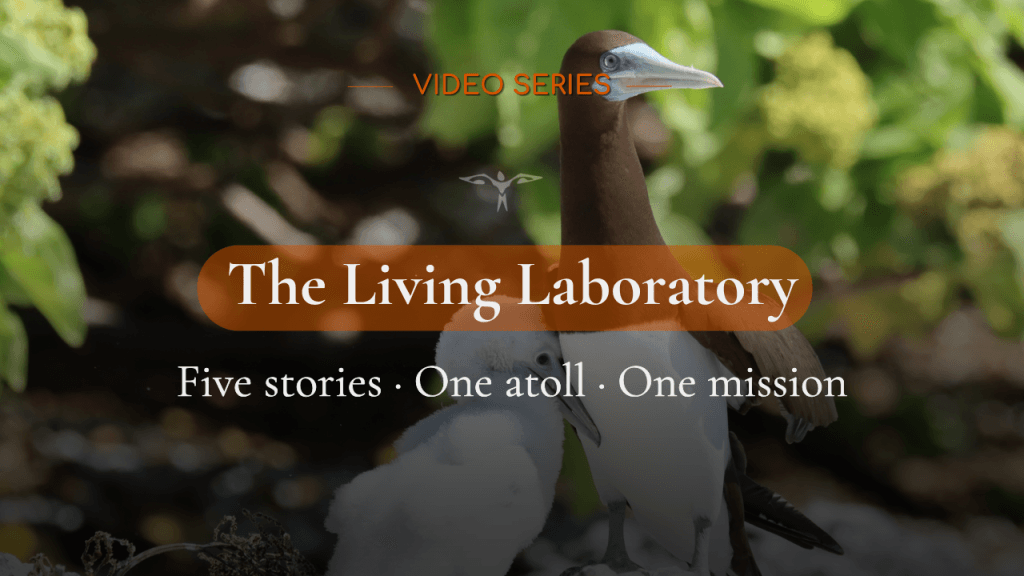 the living laboratory
