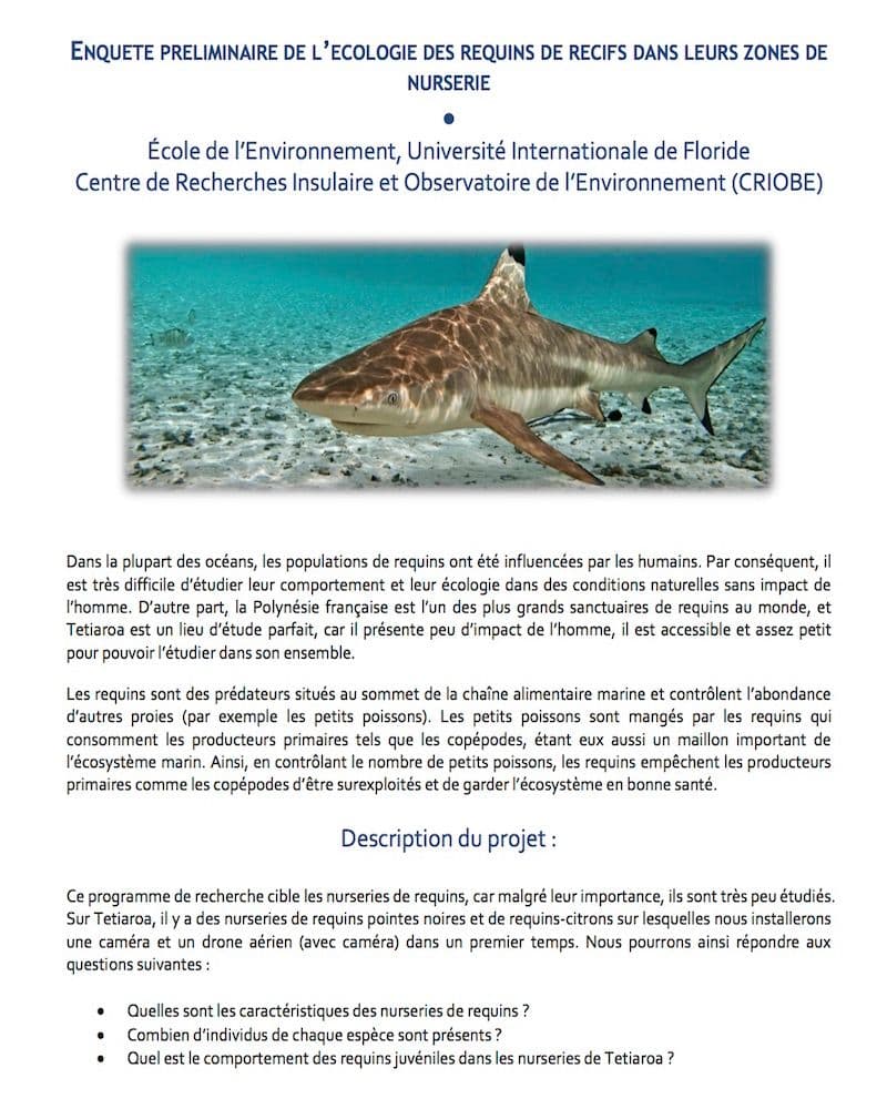 lire le pdf: L'ecologie des requins de recifs dans leurs zones de nurserie