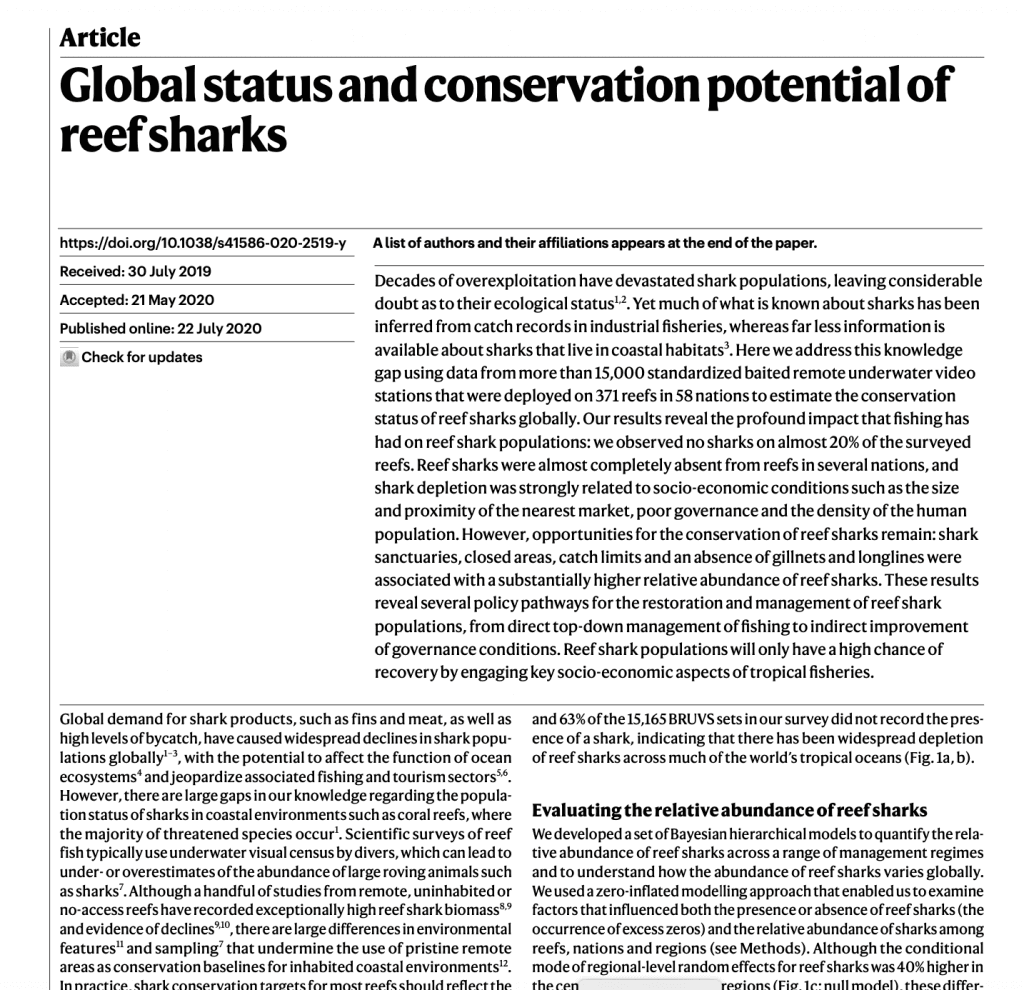 Global status and conservation potential of reef sharks