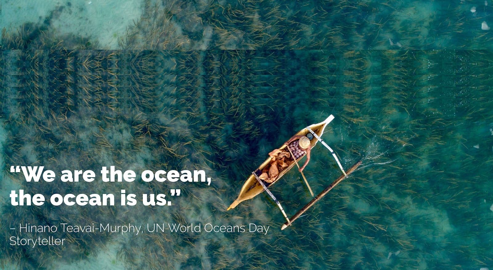 the ocean is in us