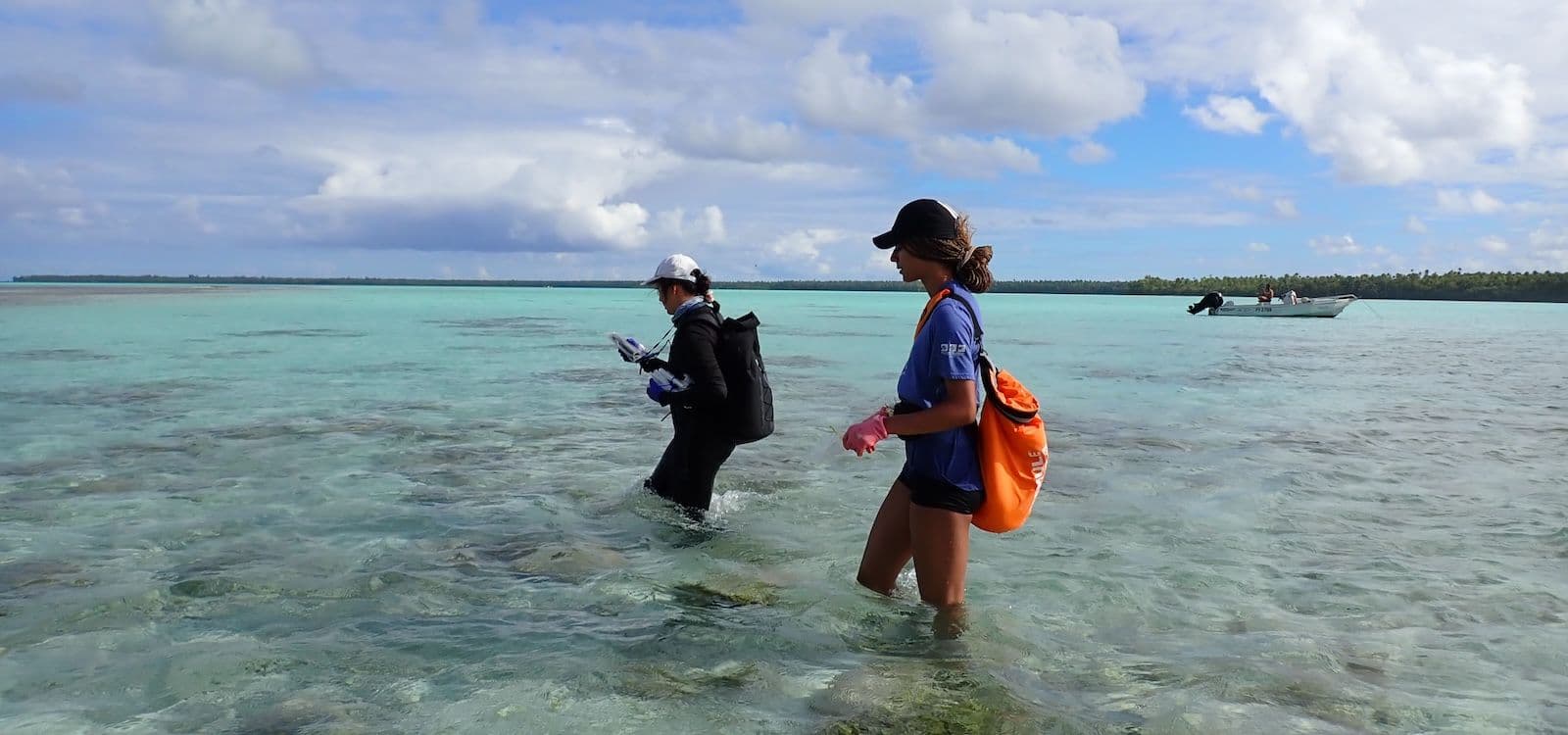 sampling in the lagoon