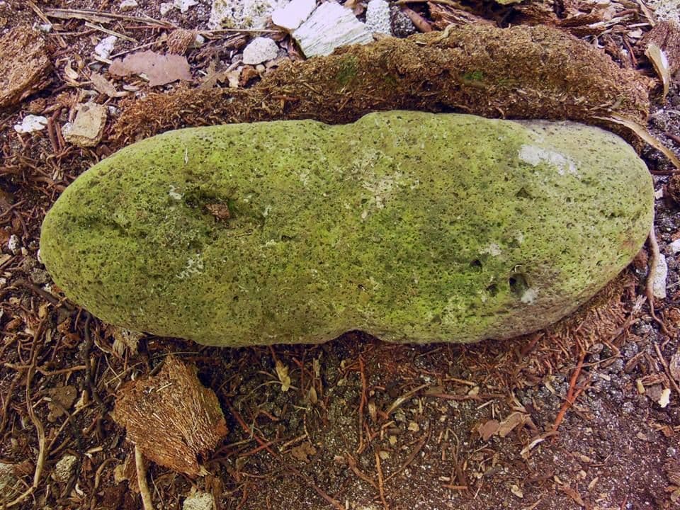 A basalt anchor found on Rimatu'u