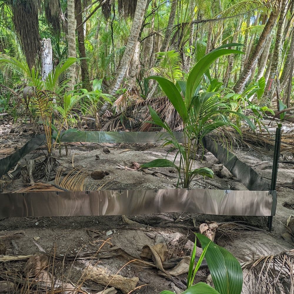 Exclosure on Hiraaanea
