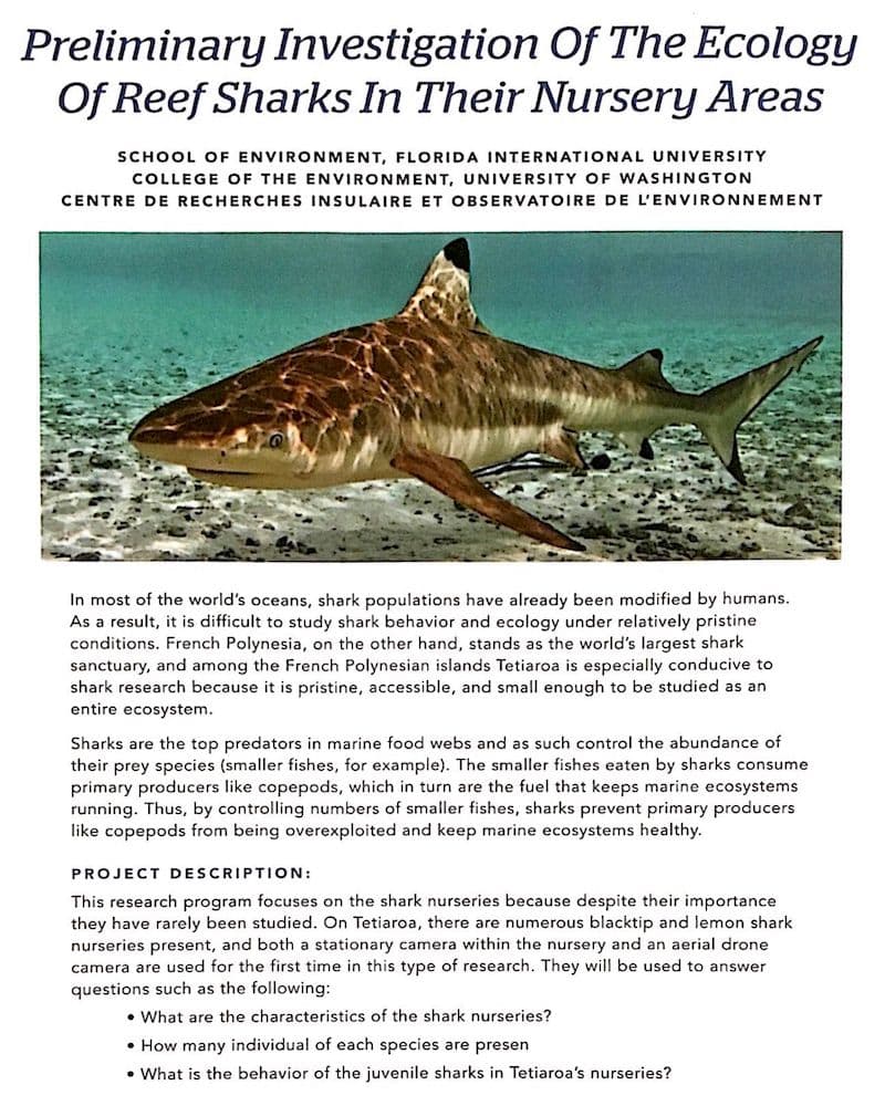 read the pdf: ecology of reef sharks in their nursery areas