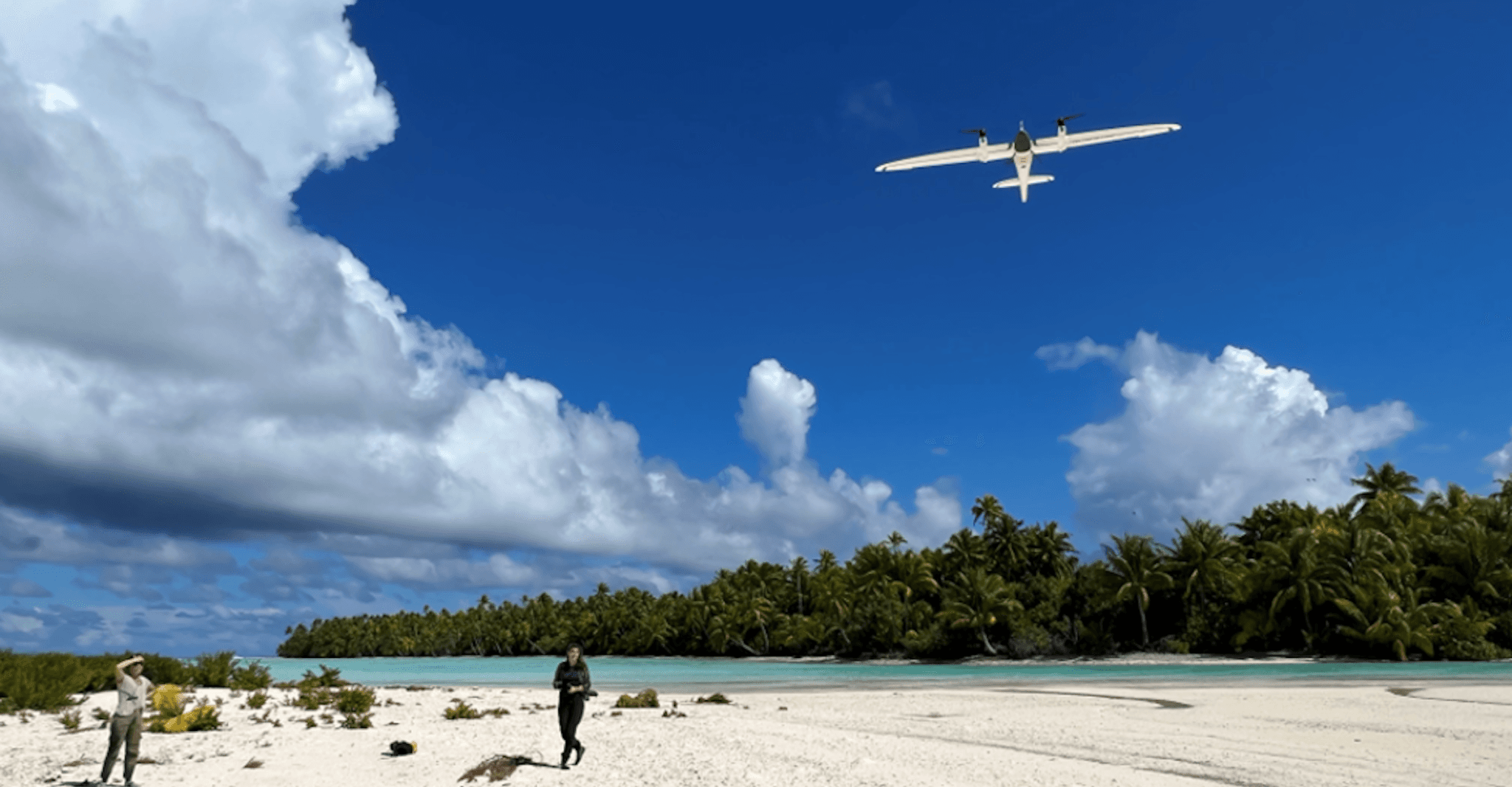 drone surveying the forest