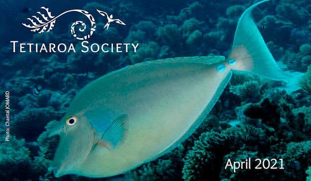 news from the atoll - April 2021